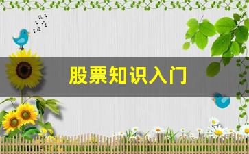 股票知识入门(股票知识入门k线图)_https://www.heiljjianzu.com_科创板_第1张