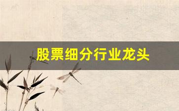 股票细分行业龙头(股票细分领域)_https://www.qldgs.com_内盘期货_第1张