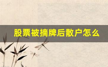 股票被摘牌后散户怎么办(摘牌股票里的钱还在吗)_https://www.gzyhshgzzx.com_大商所_第1张