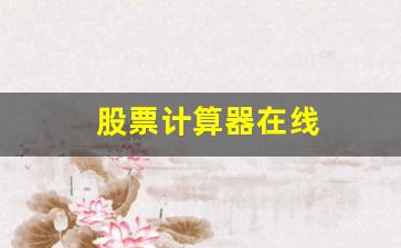 股票计算器在线(股票计算器在线计算市净率的公式)_https://www.gzyhshgzzx.com_广期所_第1张
