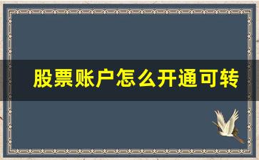 股票账户怎么开通可转债权限(股票账户 可转债)_https://www.luoxuangg888.com_科创板_第1张
