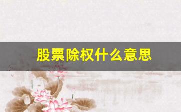 股票除权什么意思(股票分红除息不是等于没分吗)_https://www.brunchezvous.com_自驾游_第1张
