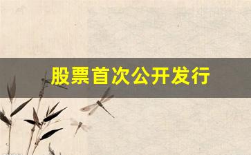 股票首次公开发行(股票首次公开发行简称)_https://www.gen-fastener.com_中金所_第1张