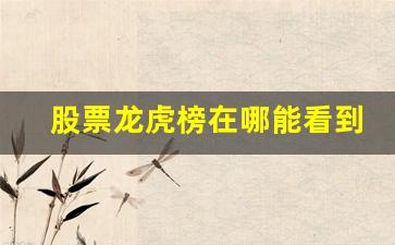 股票龙虎榜在哪能看到(股票龙虎榜是什么意思)_https://www.qldgs.com_原油期货_第1张