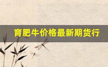 育肥牛价格最新期货行情(育肥牛的价格市场价)_https://www.hbxfywj.com_股票知识_第1张