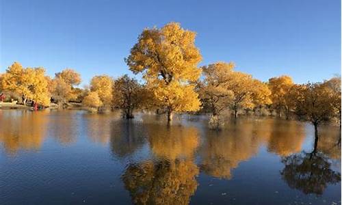 胡杨林旅游攻略燕子全文,胡杨林旅行攻略