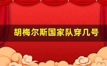 胡梅尔斯国家队穿几号球衣-胡梅尔斯 国家队