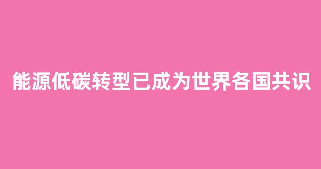 能源低碳转型已成为世界各国共识(能源低碳转型已成为世界各国共识的基础)_https://www.dcjwmf.com_广期所_第1张