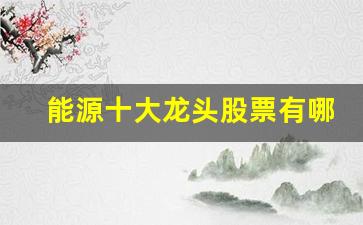 能源十大龙头股票有哪些(能源类龙头股票)_https://www.jumanxin.com_北交所_第1张