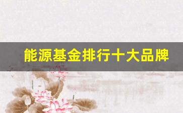 能源基金排行十大品牌(能源基金排行十大品牌有哪些)_https://www.hangfeite.com_深交所_第1张