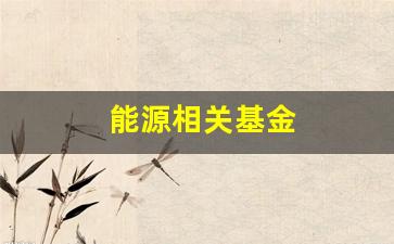 能源相关基金(国家能源集团基金)_https://www.qldgs.com_恒指期货_第1张