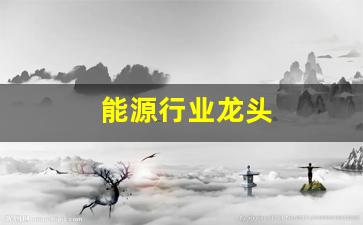 能源行业龙头(能源行业龙头股票)_https://www.wanyuyiyao.com_北交所_第1张
