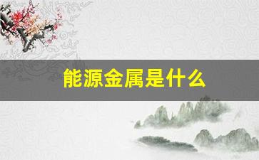 能源金属是什么(能源金属是什么指数股票吗)_https://www.wanyuyiyao.com_上交所_第1张