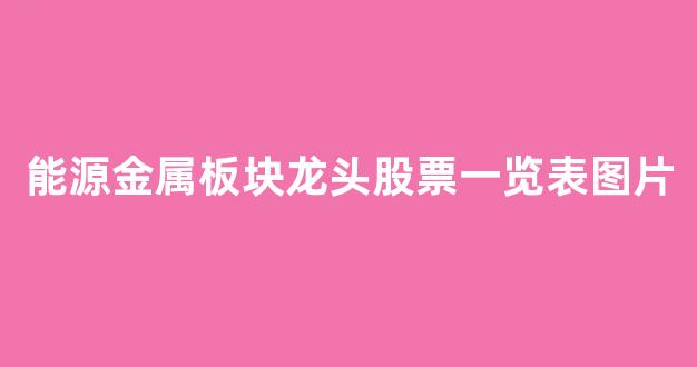 能源金属板块龙头股票一览表图片(能源金属板块龙头股票一览表图片及价格)_https://www.lclxwz.com_大商所_第1张