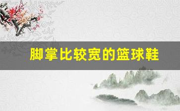 脚掌比较宽的篮球鞋-宽脚掌实战篮球鞋