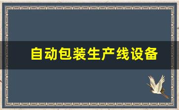 自动包装生产线设备(自动包装生产线主要有)_https://www.eamstsz.com_北交所_第1张