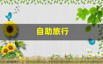 自助旅行-自助旅行的英文