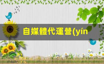 自媒體代運營(yíng)插圖