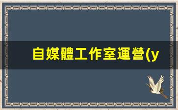 自媒體工作室運營(yíng)模式插圖