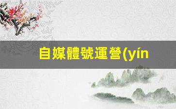 自媒體號運營(yíng)插圖