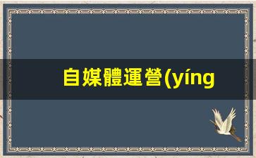 自媒體運營(yíng)必備工具插圖