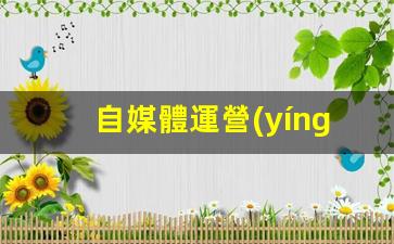 自媒體運營(yíng)應該學(xué)習哪些知識插圖