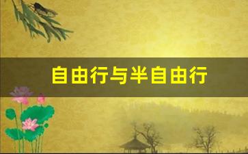自由行与半自由行-自由行半自由行区别