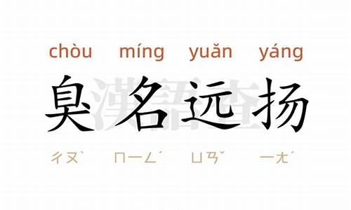 臭名远扬造句100个字怎么造_臭名远扬造句100个字怎么造句