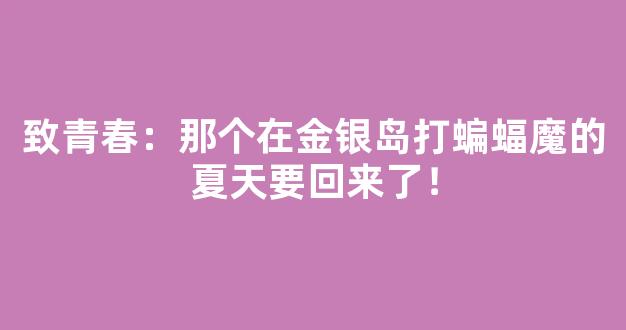 致青春：那个在金银岛打蝙蝠魔的夏天要回来了！
