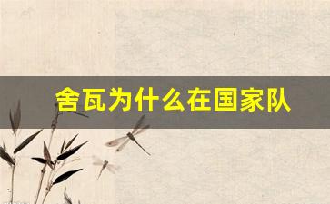舍瓦为什么在国家队-舍瓦老婆