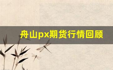 舟山px期货行情回顾_https://www.tuogunzhijia.com_原油期货_第1张