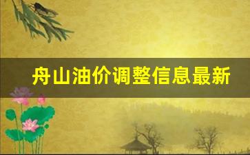 舟山今日油价92汽油价格表-舟山油价调整信息最新