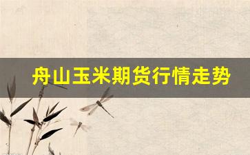 舟山玉米期货行情走势(美国玉米期货行情走势)_https://www.huakunhengjia.com_期货资讯_第1张