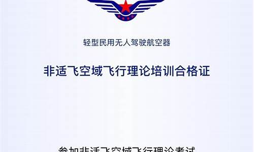 航空公司用的电脑系统-航空系统软件