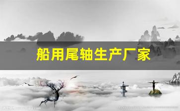 船用尾轴生产厂家(船用阀门生产厂家排名)_https://www.wanyuyiyao.com_北交所_第1张