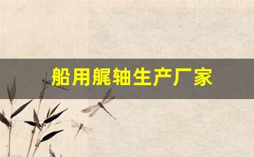 船用艉轴生产厂家(船用艉轴油封安装图)_https://www.hhem8.com_北交所_第1张