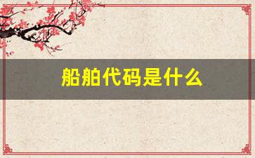 船舶代码是什么(船舶编号有哪些)_https://www.wanyuyiyao.com_深交所_第1张