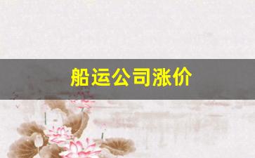 船运公司涨价(船运上涨)_https://www.wanyuyiyao.com_深交所_第1张