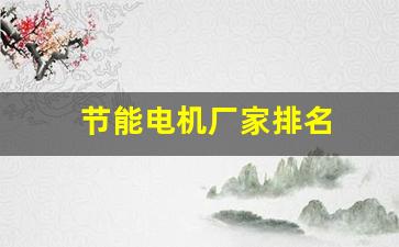 节能电机厂家排名(节能电机品牌)_https://www.hhem8.com_创业板_第1张
