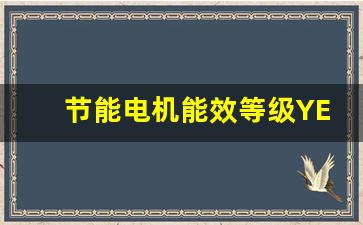 节能电机能效等级YE分为几等(节能电机是几级能效)_https://www.wanyuyiyao.com_上交所_第1张