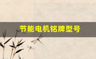 节能电机铭牌型号(节能电机型号字母含义)_https://www.wanyuyiyao.com_深交所_第1张