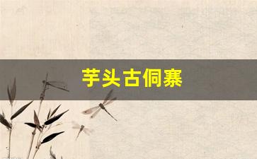 芋头古侗寨-芋头古侗寨攻略