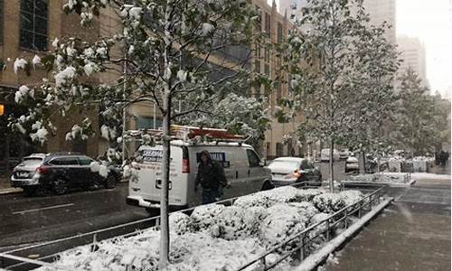 芝加哥地区大雪天气_芝加哥地区大雪天气怎么样