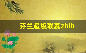 芬兰超级联赛zhibo-芬兰超级联赛赛程比分