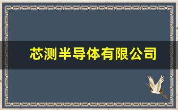 芯测半导体有限公司(芯测半导体有限公司 绍兴)_https://www.hn-life.com_上交所_第1张