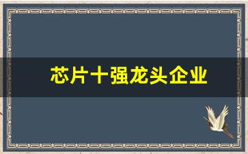 芯片十强龙头企业(芯片龙头企业排名前十)_https://www.luoxuangg888.com_科创板_第1张