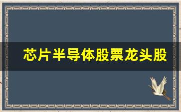 芯片半导体股票龙头股有哪些(芯片半导体概念股票龙头股)_https://www.lclxwz.com_广期所_第1张