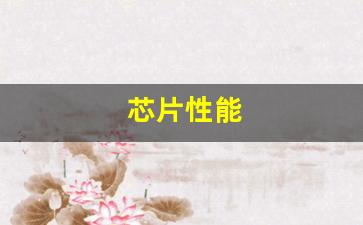芯片性能(国科6323芯片性能)_https://www.nalian8.com_北交所_第1张