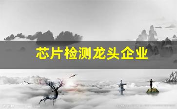 芯片检测龙头企业(芯片检测公司排名前十名)_https://www.huakunhengjia.com_期货资讯_第1张
