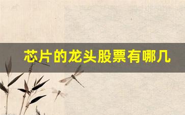 芯片的龙头股票有哪几家(芯片的龙头股票有哪几家公司)_https://www.hangfeite.com_深交所_第1张